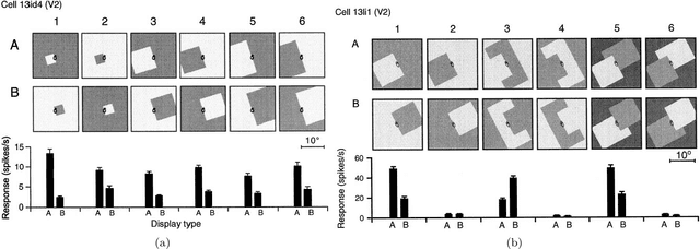 Figure 3 for Early recurrence enables figure border ownership