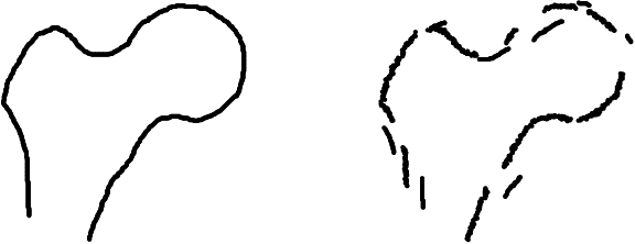 Figure 4 for Procrustes registration of two-dimensional statistical shape models without correspondences