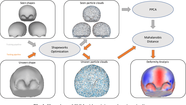 Figure 1 for Unsupervised Shape Normality Metric for Severity Quantification