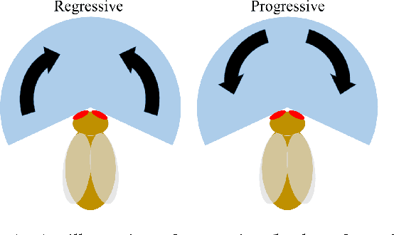 Figure 1 for Flies as Ship Captains? Digital Evolution Unravels Selective Pressures to Avoid Collision in Drosophila