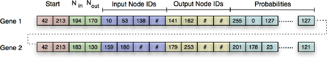Figure 4 for Flies as Ship Captains? Digital Evolution Unravels Selective Pressures to Avoid Collision in Drosophila