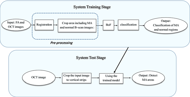 Figure 1 for Automatic Detection of Microaneurysms in OCT Images Using Bag of Features