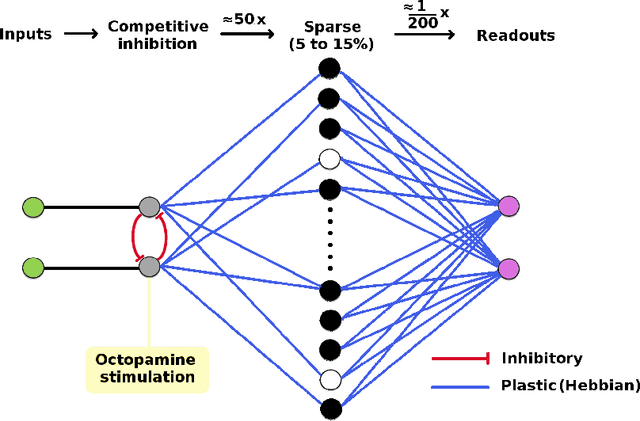 Figure 1 for Insect cyborgs: Biological feature generators improve machine learning accuracy on limited data
