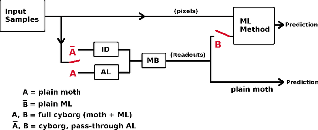Figure 3 for Insect cyborgs: Biological feature generators improve machine learning accuracy on limited data
