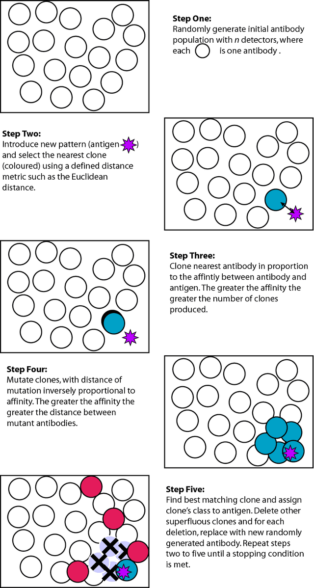 Figure 3 for Artificial Immune Systems