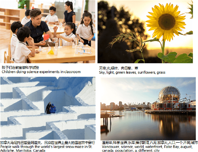 Figure 2 for WuDaoMM: A large-scale Multi-Modal Dataset for Pre-training models