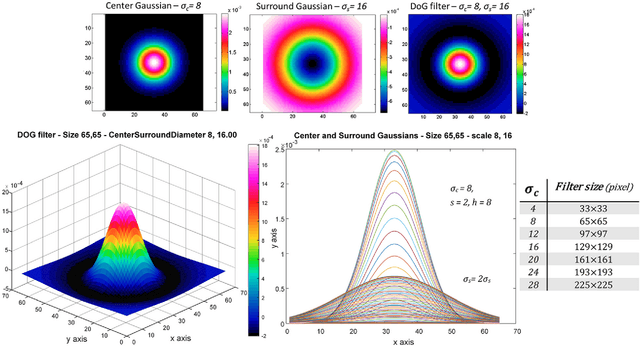 Figure 1 for Vis-CRF, A Classical Receptive Field Model for VISION
