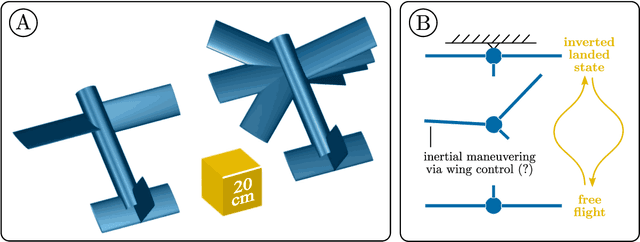 Figure 1 for Quaternion variational integration for inertial maneuvering in a biomimetic UAV