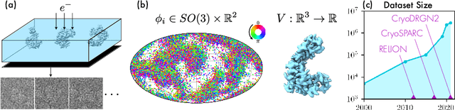 Figure 1 for CryoAI: Amortized Inference of Poses for Ab Initio Reconstruction of 3D Molecular Volumes from Real Cryo-EM Images