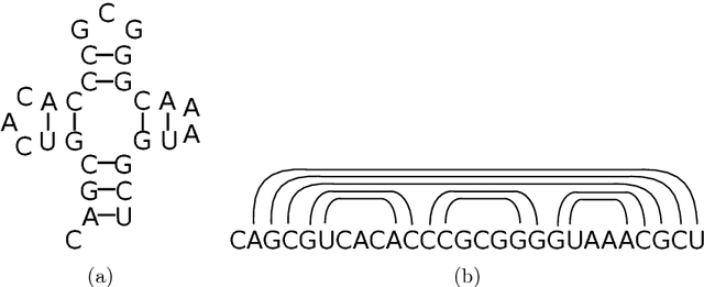 Figure 1 for A Hybrid Evolutionary Algorithm Based on Solution Merging for the Longest Arc-Preserving Common Subsequence Problem