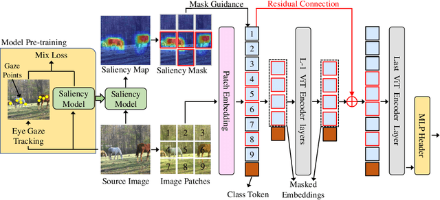 Figure 3 for Rectify ViT Shortcut Learning by Visual Saliency