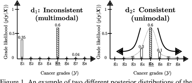 Figure 1 for Deep Ordinal Classification with Inequality Constraints