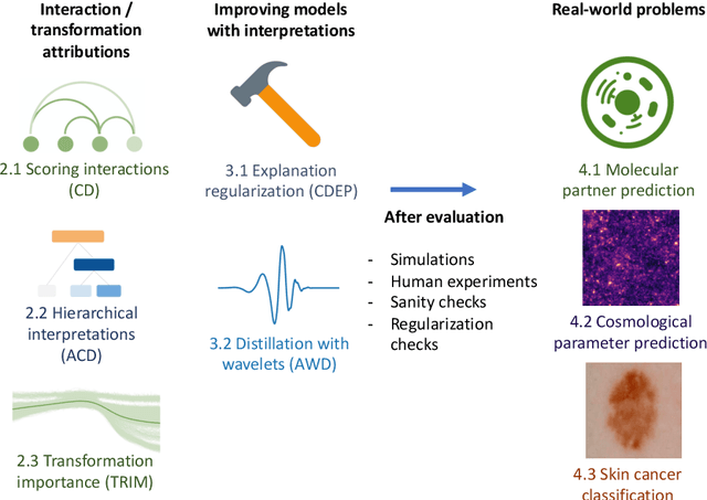 Figure 1 for Interpreting and improving deep-learning models with reality checks