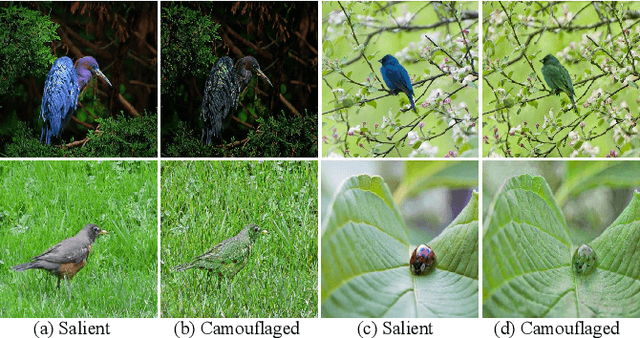 Figure 3 for High-resolution Iterative Feedback Network for Camouflaged Object Detection