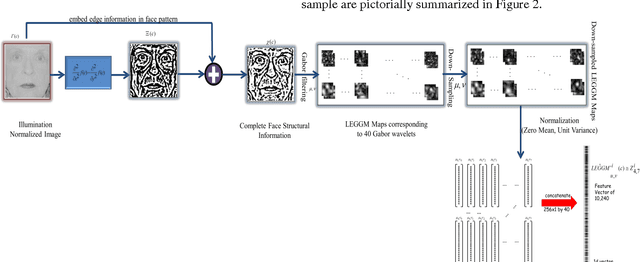 Figure 3 for Expressing Facial Structure and Appearance Information in Frequency Domain for Face Recognition