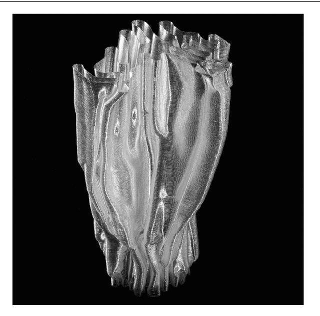 Figure 2 for Complexity and Aesthetics in Generative and Evolutionary Art