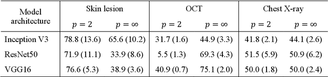 Figure 2 for Simple black-box universal adversarial attacks on medical image classification based on deep neural networks