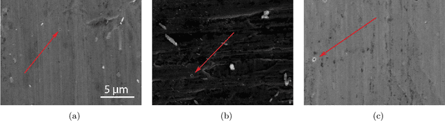 Figure 1 for Automatic detection of impact craters on Al foils from the Stardust interstellar dust collector using convolutional neural networks