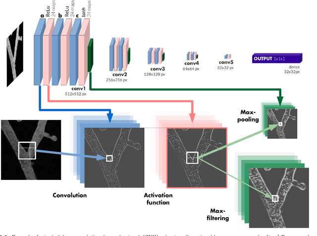 Figure 2 for Deep Learning Convolutional Networks for Multiphoton Microscopy Vasculature Segmentation
