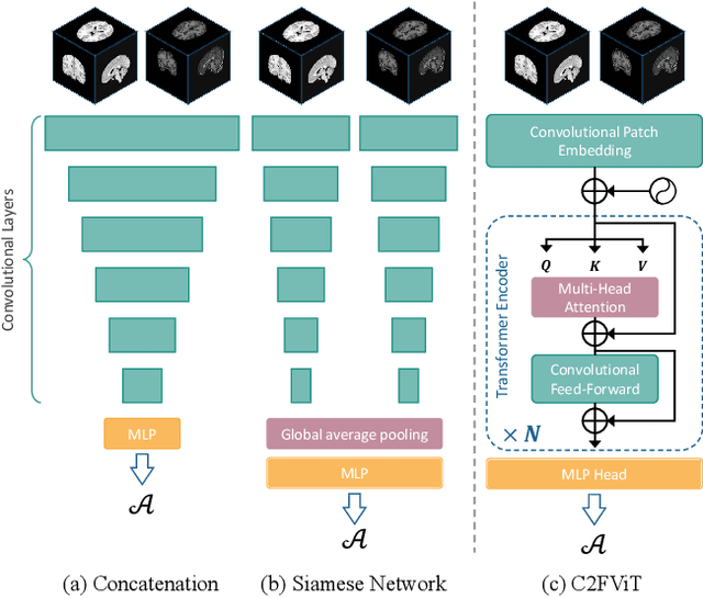 Figure 1 for Affine Medical Image Registration with Coarse-to-Fine Vision Transformer