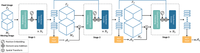 Figure 3 for Affine Medical Image Registration with Coarse-to-Fine Vision Transformer