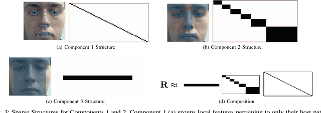 Figure 3 for Fast, Dense Feature SDM on an iPhone