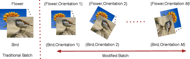 Figure 1 for DILF-EN framework for Class-Incremental Learning