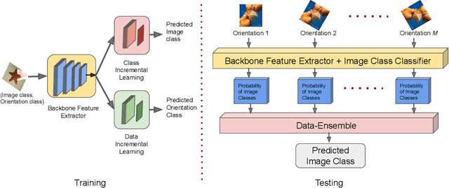 Figure 2 for DILF-EN framework for Class-Incremental Learning