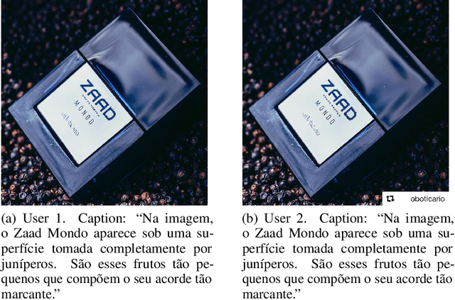 Figure 3 for #PraCegoVer: A Large Dataset for Image Captioning in Portuguese