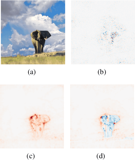 Figure 1 for Pattern-Guided Integrated Gradients