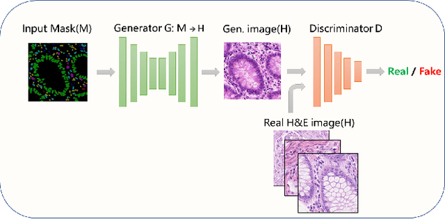 Figure 2 for A Standardized Pipeline for Colon Nuclei Identification and Counting Challenge