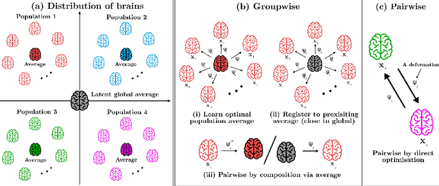Figure 1 for Flexible Bayesian Modelling for Nonlinear Image Registration