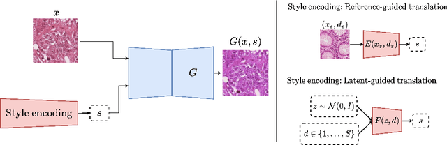 Figure 1 for Test-time image-to-image translation ensembling improves out-of-distribution generalization in histopathology