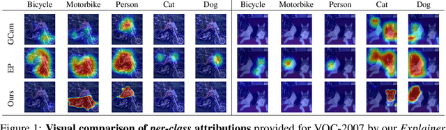 Figure 1 for What You See is What You Classify: Black Box Attributions