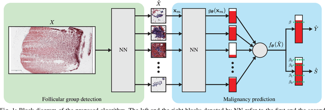 Figure 1 for A Deep-Learning Algorithm for Thyroid Malignancy Prediction From Whole Slide Cytopathology Images
