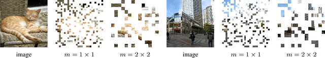 Figure 3 for Exploring Long-Sequence Masked Autoencoders