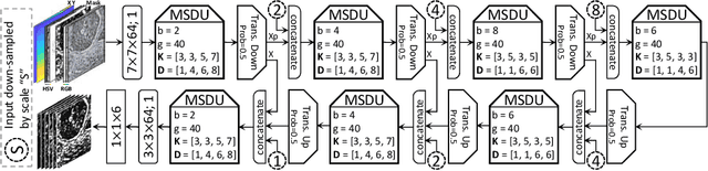 Figure 3 for Nuclear Instance Segmentation using a Proposal-Free Spatially Aware Deep Learning Framework