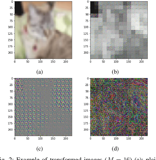 Figure 2 for On the Adversarial Transferability of ConvMixer Models