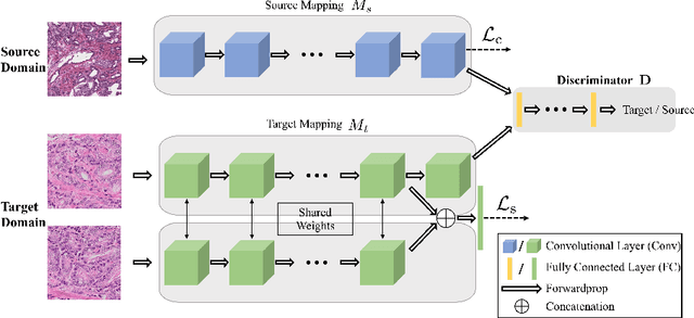 Figure 1 for Adversarial Domain Adaptation for Classification of Prostate Histopathology Whole-Slide Images