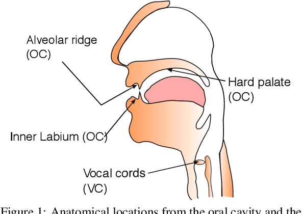 Figure 1 for Patch-based Carcinoma Detection on Confocal Laser Endomicroscopy Images - A Cross-Site Robustness Assessment