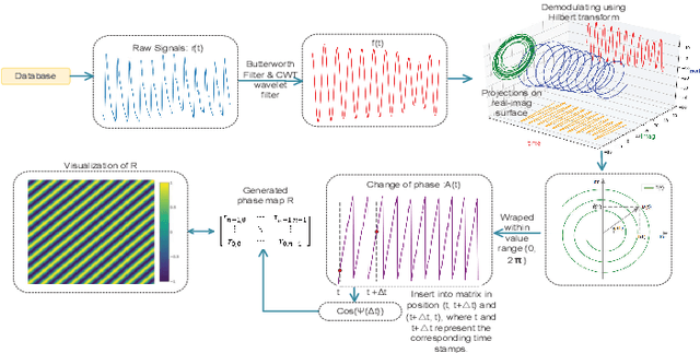 Figure 3 for WPPG Net: A Non-contact Video Based Heart Rate Extraction Network Framework with Compatible Training Capability