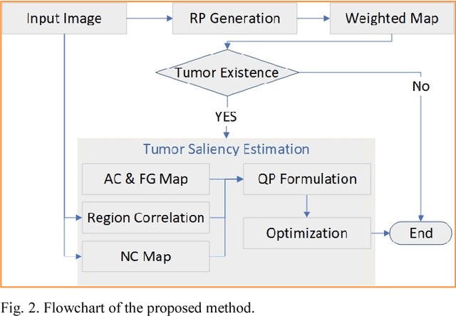 Figure 3 for A Hybrid Framework for Tumor Saliency Estimation