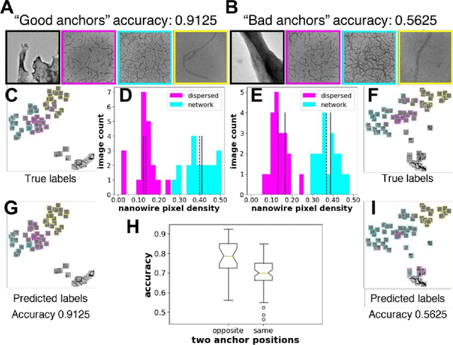 Figure 2 for Self-supervised machine learning model for analysis of nanowire morphologies from transmission electron microscopy images