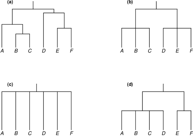 Figure 2 for Challenges of sampling and how phylogenetic comparative methods help: With a case study of the Pama-Nyungan laminal contrast