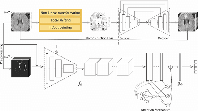 Figure 1 for Dementia Severity Classification under Small Sample Size and Weak Supervision in Thick Slice MRI