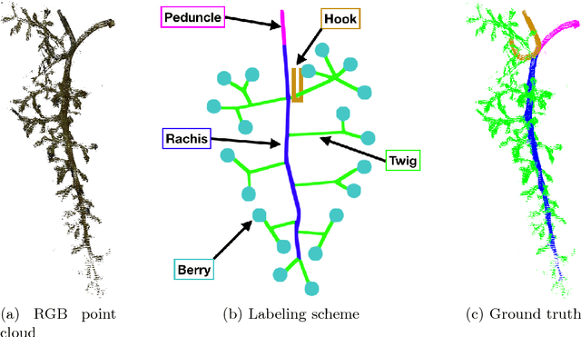 Figure 1 for Multi-View Semantic Labeling of 3D Point Clouds for Automated Plant Phenotyping