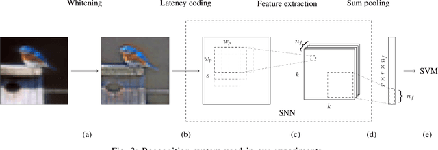 Figure 3 for Improving STDP-based Visual Feature Learning with Whitening