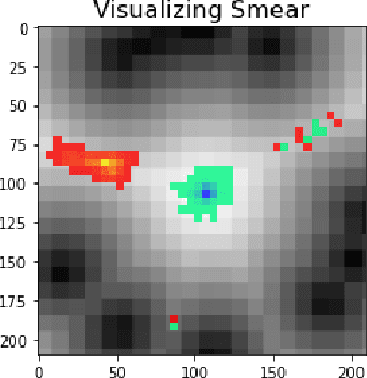 Figure 4 for A Fast and Robust Method for Global Topological Functional Optimization