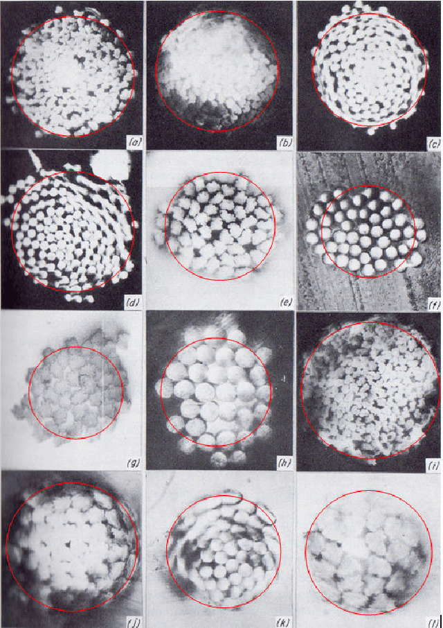 Figure 1 for FabricNet: A Fiber Recognition Architecture Using Ensemble ConvNets