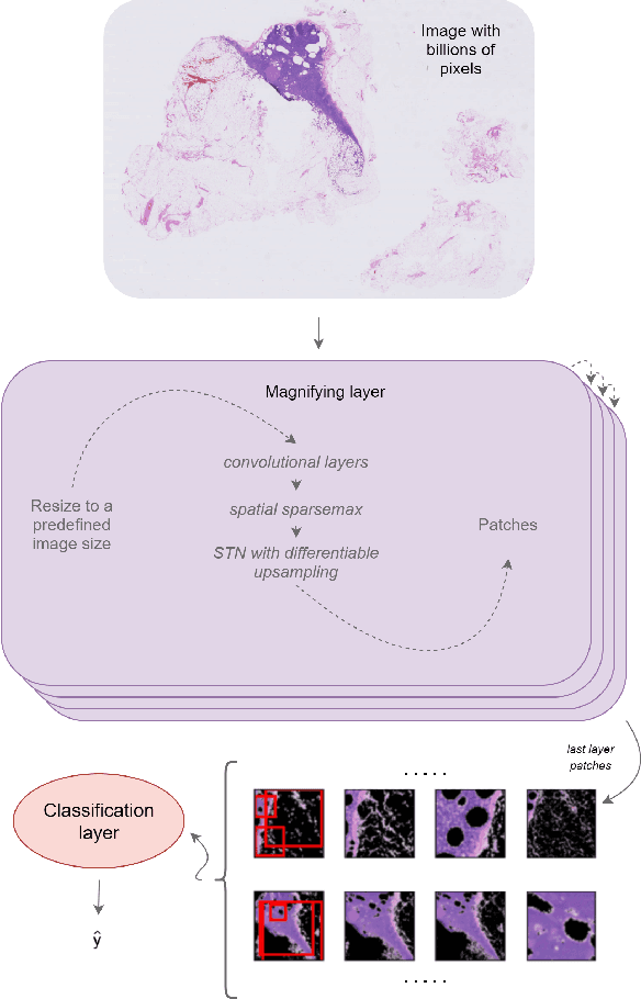 Figure 1 for Magnifying Networks for Images with Billions of Pixels
